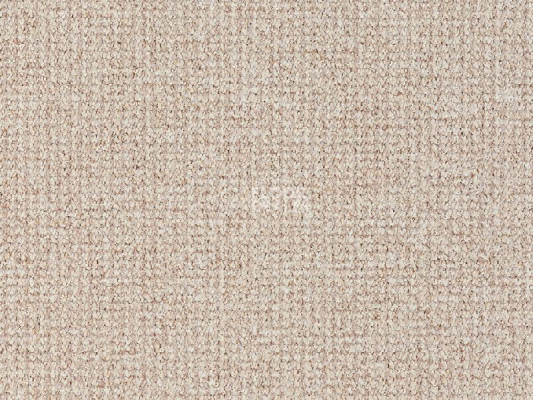 Ковролин Balta Brazil 640 фото 1 | FLOORDEALER